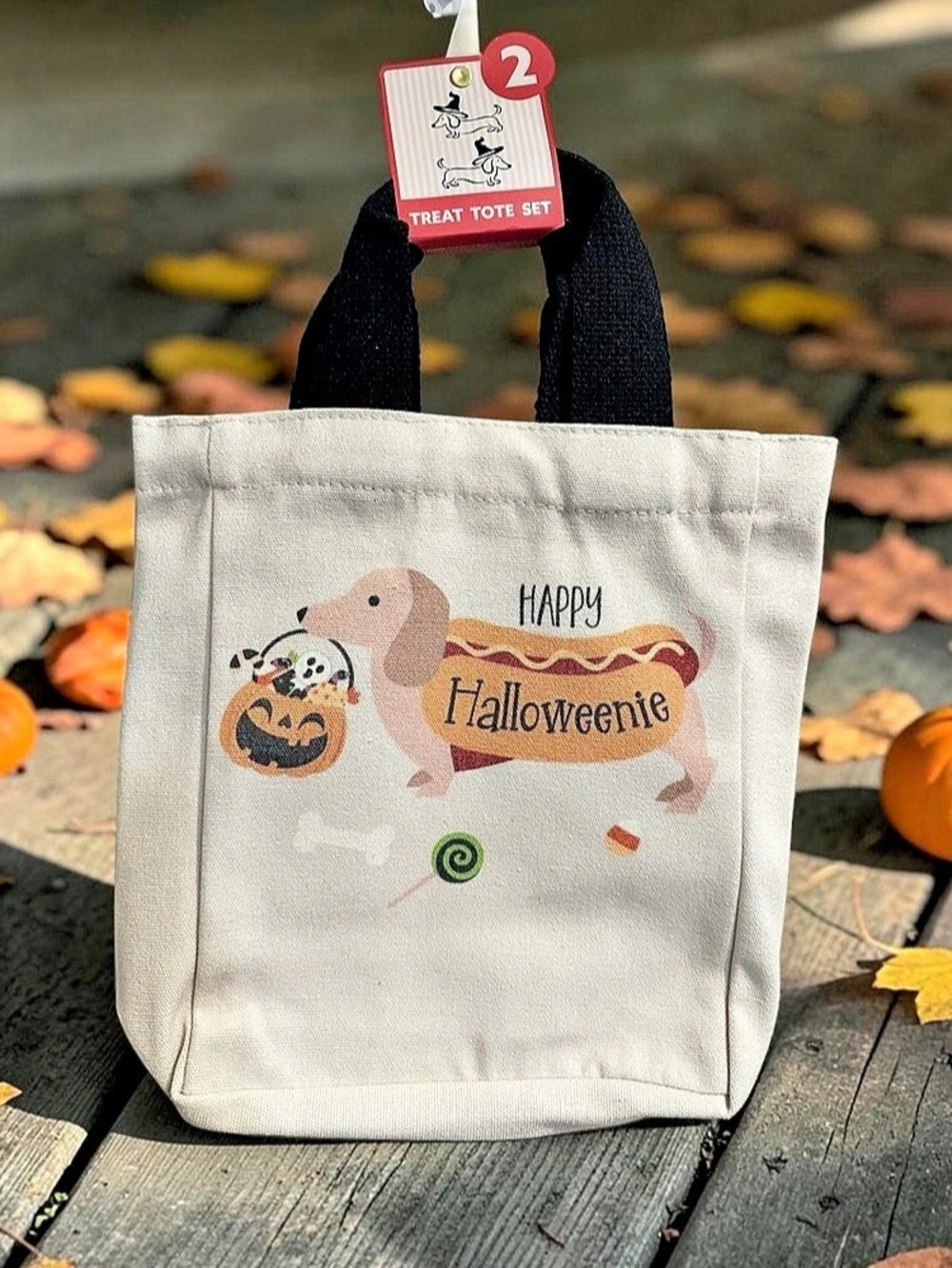 Kohl’s Happy Halloweenie Dachshund Canvas Treat Tote Set - Set of 2